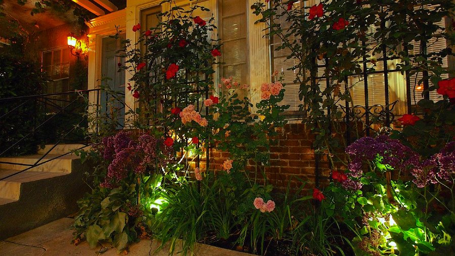 The roses of Chateau Camrose